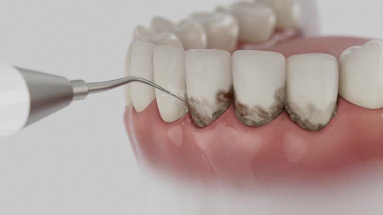 Reliable Dental contractor in Waterville, WA by Dentist Open Now